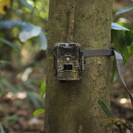 Camera traps